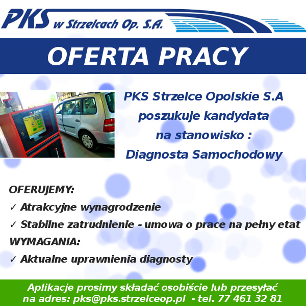 praca diagnosta